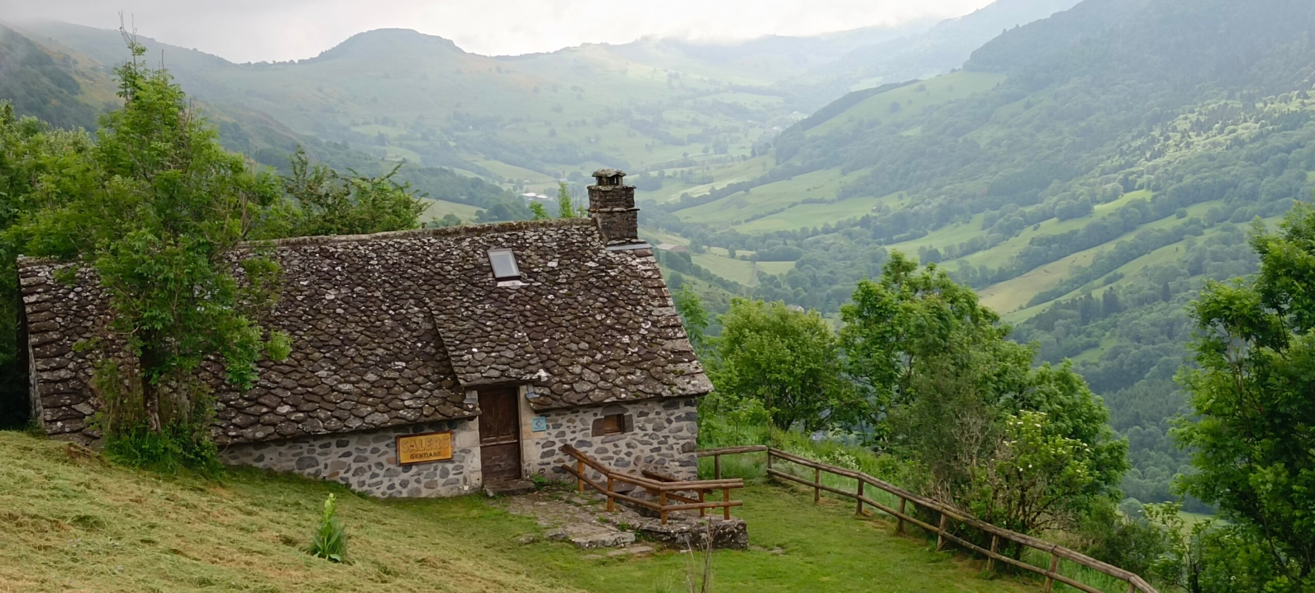 IMG_20250608_105051.jpg_compressed